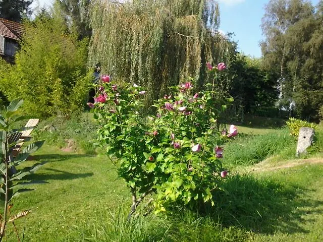 Bed and Breakfast Kervaillant Plouec-du-Trieux Bed & Breakfast